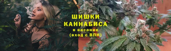 mix Богородицк